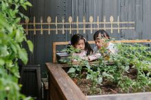 Two Children Standing Behind a Plant Box